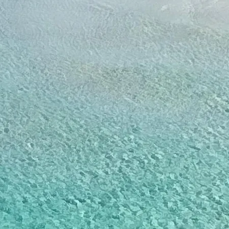 Acquario * 丽都玛里尼