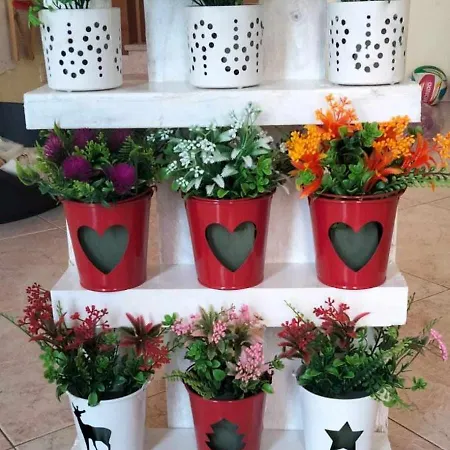 Acquario 丽都玛里尼