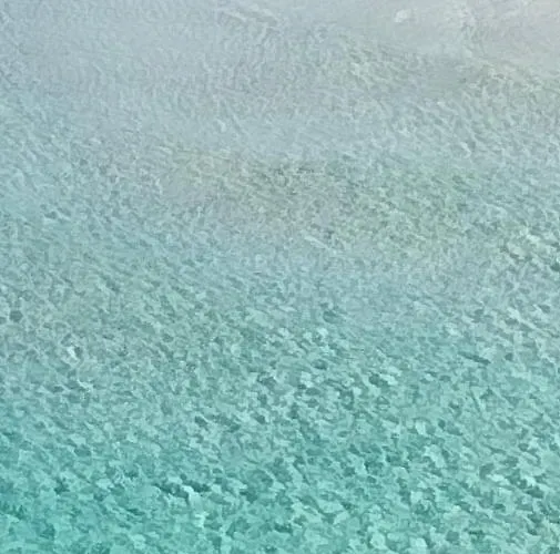 Acquario * Lido Marini