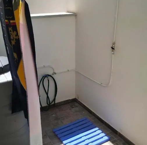 Acquario Daire Lido Marini