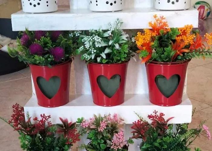 Acquario Lido Marini